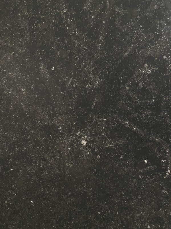 Belgian_Fossil - imperialworktops
