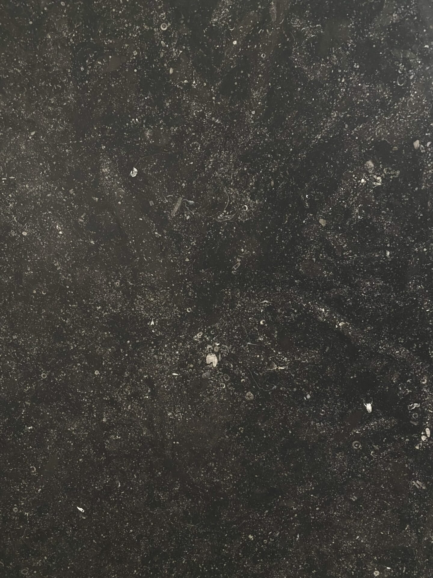 Belgian_Fossil - imperialworktops
