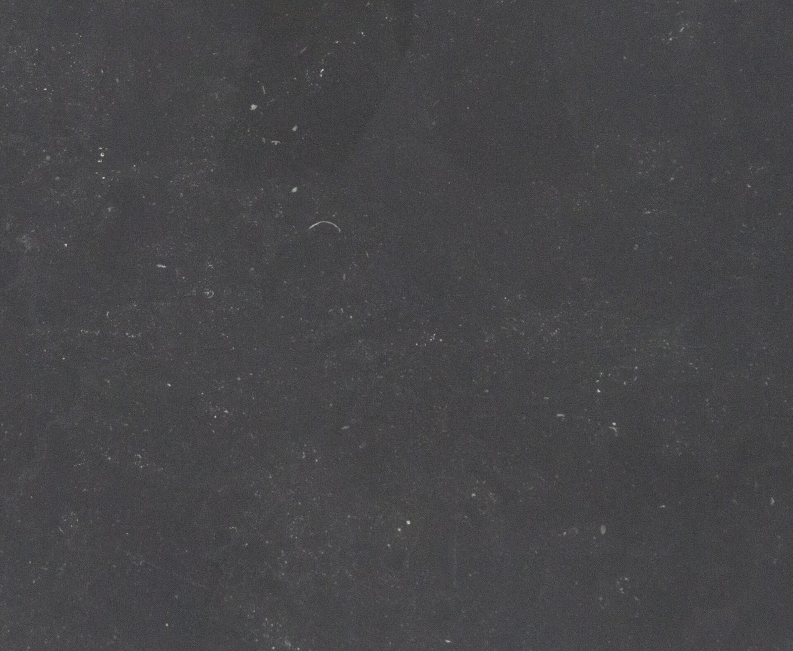 Belgian_Fossil_Polished - imperialworktops